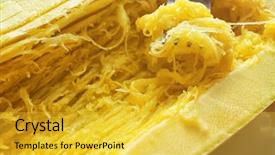  Presentation with squash sport - Presentation theme with cucurbita pepo - fork with spaghetti squash close background and a  colored foreground