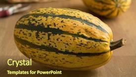  Presentation with yellow green - Beautiful slides featuring cucurbita pepo - fresh whole green and yellow backdrop and a tawny brown colored foreground