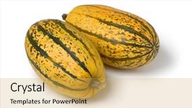  Presentation with coconut shell fresh whole - Colorful PPT layouts enhanced with cucurbita pepo - pair of fresh raw whole backdrop and a yellow colored foreground