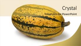  Presentation with spaghetti - Colorful PPT layouts enhanced with cucurbita pepo - single fresh raw whole spaghetti backdrop and a yellow colored foreground