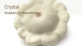  Presentation with squash sport - Amazing PPT layouts having cucurbita pepo - white pattypan squash isolated backdrop and a soft green colored foreground
