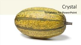  Presentation with spaghetti - Cool new presentation design with cucurbita pepo - whole single spaghetti squash backdrop and a  colored foreground