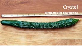  Presentation with measure for measure - Slide deck with cucurbitaceae - burpless cucumber with tape measure background and a coral colored foreground
