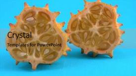  Presentation with melon - Presentation theme with cucurbitaceae - close-ups of kiwano melon background and a gold colored foreground