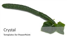  Presentation with english - Amazing theme having smiling gingerbread man cookies and the rest in a gift box focus on the first cookie backdrop and a tawny brown colored foreground