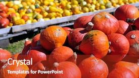  Presentation with healthy food - Audience pleasing slide set consisting of cucurbitaceae - pumpkin healthy organic food background backdrop and a crimson colored foreground