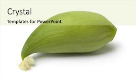  Presentation with renewable energy single green building - PPT layouts enhanced with cucurbitaceae - single green heirloom wild cucumber background and a soft green colored foreground