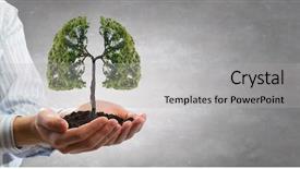  Presentation with green life - Audience pleasing PPT theme consisting of cuidado del medio ambiente - green life protection backdrop and a light gray colored foreground