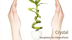  Presentation with hand holding pencil - Amazing presentation theme having cuidado del medio ambiente - hand holding bamboo backdrop and a  colored foreground