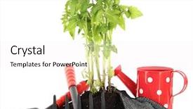  Presentation with young plant - Presentation design with cuidado del medio ambiente - young plant in ground isolated background and a  colored foreground