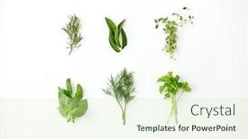  Presentation with culinary - Colorful slide deck enhanced with culinary-seasoning-and-organic-concept backdrop and a soft green colored foreground