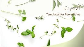  Presentation with culinary - Slide deck consisting of culinary-seasoning-and-organic-concept background and a cream colored foreground