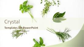  Presentation with culinary - Colorful PPT theme enhanced with culinary-seasoning-and-organic-concept backdrop and a cream colored foreground