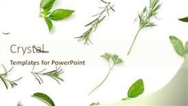  Presentation with culinary - PPT theme enhanced with culinary-seasoning-and-organic-concept background and a cream colored foreground