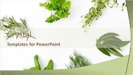  Presentation with culinary - Amazing slide set having culinary-seasoning-and-organic-concept backdrop and a soft green colored foreground
