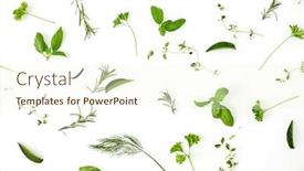  Presentation with culinary - PPT layouts having culinary-seasoning-and-organic-concept background and a cream colored foreground