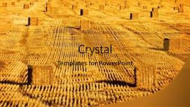  Presentation with hay field - Audience pleasing PPT layouts consisting of cultivated - large golden haybales hay bales backdrop and a gold colored foreground