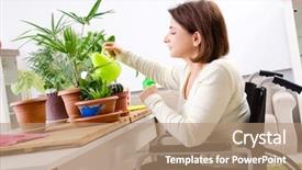  Presentation with wheelchair - Presentation theme featuring cultivated - woman in wheelchair cultivating houseplants background and a  colored foreground