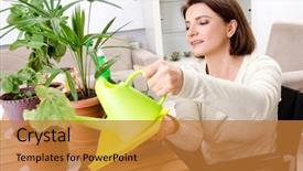  Presentation with wheelchair accessible images at school - Presentation featuring cultivated - woman in wheelchair cultivating houseplants background and a  colored foreground