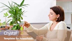  Presentation with wheelchair - Colorful slide set enhanced with cultivated - woman in wheelchair cultivating houseplants backdrop and a  colored foreground