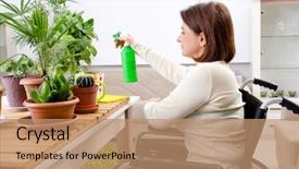  Presentation with wheelchair - PPT theme with cultivated - woman in wheelchair cultivating houseplants background and a coral colored foreground