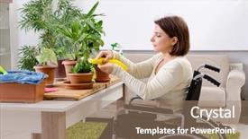  Presentation with wheelchair - Presentation enhanced with cultivated - woman in wheelchair cultivating houseplants background and a coral colored foreground
