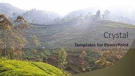  Presentation with sri lanka - Presentation theme enhanced with cultivated-hillside-vegetable-plantations background and a light gray colored foreground