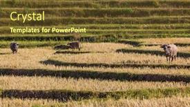  Presentation with land - Beautiful presentation theme featuring cultivated-land-fields-landscaped-near backdrop and a tawny brown colored foreground