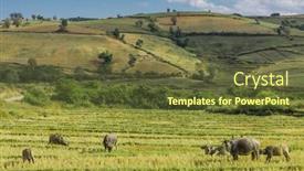  Presentation with land - PPT theme enhanced with cultivated-land-fields-landscaped-near background and a tawny brown colored foreground