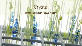  Presentation with food - Cool new presentation theme with cultivation of gm food probe backdrop and a cream colored foreground