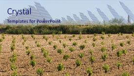  Presentation with energy solar - Presentation theme with cultivation of grapes and solar background and a light blue colored foreground