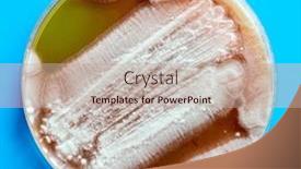  Presentation with food industrial - Presentation theme consisting of cultivation-of-mushroom-mycelium background and a mint green colored foreground