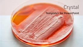  Presentation with food industrial - Theme featuring cultivation-of-mushroom-mycelium background and a coral colored foreground