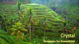  Presentation with rice fields - Audience pleasing PPT layouts consisting of cultural tourism - terrace rice fields on bali backdrop and a tawny brown colored foreground