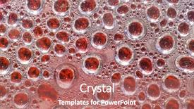  Presentation with abstract culture - Colorful slides enhanced with culture dish containing blood backdrop and a coral colored foreground