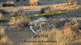  Presentation with csi - Amazing theme having genocide - crime scene skeleton partially buried backdrop and a coral colored foreground
