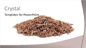 Presentation with cumin - PPT layouts with cumin-seeds-isolated-on-white background and a white colored foreground