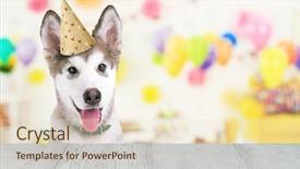  Presentation with cute birthday - Amazing PPT theme having cute dog celebrating his birthday backdrop and a lemonade colored foreground