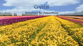  Presentation with rural tourism concept - Beautiful PPT layouts featuring cumulus-clouds-fly backdrop and a light blue colored foreground