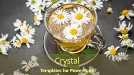  Presentation with chamomile - PPT layouts featuring cup of chamomile tea background and a tawny brown colored foreground