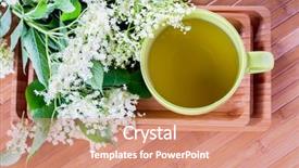  Presentation with alternative medicine - Beautiful PPT layouts featuring cup of elderflower tea - alternative backdrop and a coral colored foreground