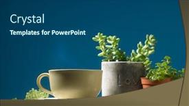  Presentation with succulent - Beautiful theme featuring cup-of-hot-coffee backdrop and a ocean colored foreground