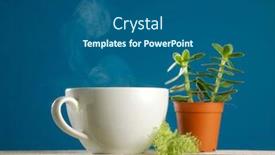  Presentation with succulent - Slide deck featuring cup-of-hot-coffee background and a ocean colored foreground