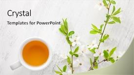  Presentation with tea cup - Presentation enhanced with cup of tea and branches background and a white colored foreground