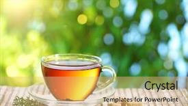  Presentation with tea - PPT theme with pair great crested grebes swimming in water background and a light gray colored foreground