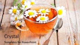  Presentation with tea cup - Presentation design consisting of cup of tea with chamomile background and a coral colored foreground