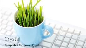  Presentation with grass - PPT layouts consisting of cup-with-green-grass background and a light blue colored foreground