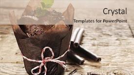  Presentation with muffin - Slide deck enhanced with cupcake muffins - chocolate muffin with mint background and a soft green colored foreground