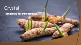  Presentation with curcuma - Presentation theme enhanced with curcuma-turmeric-root-with-fresh background and a gray colored foreground
