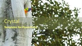  Presentation with melbourne - Audience pleasing slides consisting of curious-australian-rainbow-lorikeet-trichoglossus backdrop and a tawny brown colored foreground